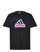 M Fi Bos T Oly Sport T-shirts Short-sleeved Black Adidas Sportswear