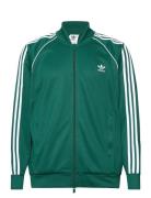 Sst Tt Sport Sweat-shirts & Hoodies Sweat-shirts Green Adidas Original...