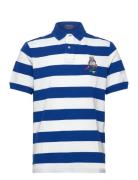 Classic Fit Polo Bear Mesh Polo Shirt Tops Polos Short-sleeved Blue Po...