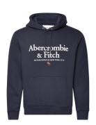 Anf Mens Sweatshirts Tops Sweat-shirts & Hoodies Hoodies Navy Abercrom...