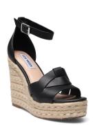 Sivian Sandal Korolliset Sandaalit Espadrillot Black Steve Madden