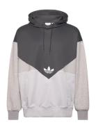 C Poly Hdy Sport Sweat-shirts & Hoodies Hoodies Grey Adidas Originals