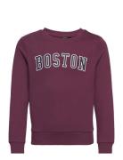 Nlmnoston Ls Bru O-Neck Sweat Tops Sweat-shirts & Hoodies Sweat-shirts...