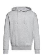 Sdlenz Hood Sw Tops Sweat-shirts & Hoodies Hoodies Grey Solid