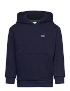 Sweatshirts Sport Sweat-shirts & Hoodies Hoodies Navy Lacoste