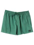 Everyday Surfwash Volley 15 Uimashortsit Green Quiksilver