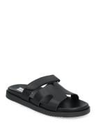 Missile-E Sandal Matalapohjaiset Sandaalit Black Steve Madden