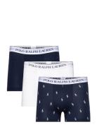 Bci Cotton/Elastane-3Pk-Trn Bokserit Navy Polo Ralph Lauren Underwear