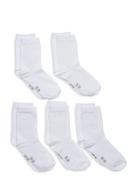 Ankle Sock -Solid Sukat White Minymo
