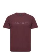 Essential Tee Tops T-shirts Short-sleeved Burgundy Hackett London