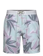 Og Print 18" Cruzer Uimashortsit Blue O'neill