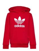 Trefoil Hoodie Sport Sweat-shirts & Hoodies Hoodies Red Adidas Origina...