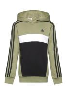 J 3S Tib Fl Hd Tops Sweat-shirts & Hoodies Hoodies Khaki Green Adidas ...