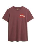 Great Outdoor Chest Graphc Tee Tops T-shirts Short-sleeved Brown Super...