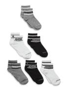 6W-6Pk Crew Sock Sukat Grey Converse