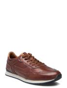 Editta Matalavartiset Sneakerit Tennarit Brown Lloyd