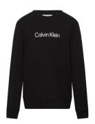 Inst. Logo Regular Cn Tops T-shirts Long-sleeved T-shirts Black Calvin...