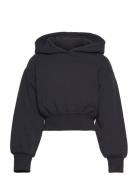 Cropped Hoody Tops Sweat-shirts & Hoodies Hoodies Black Tom Tailor