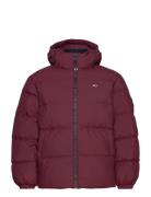 Tjm Essential Down Jacket Ext Vuorillinen Takki Topattu Takki Red Tomm...