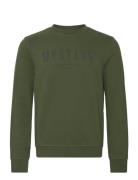 Style Clio Tops Sweat-shirts & Hoodies Sweat-shirts Green MUSTANG