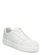 Low Top Lace Up Bskt Lth Matalavartiset Sneakerit Tennarit White Calvi...