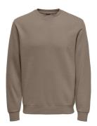 Onsceres Crew Neck Noos Tops Sweat-shirts & Hoodies Sweat-shirts Brown...