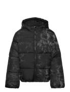 Puffer Jacket Toppatakki Black Tom Tailor