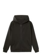 Nlnnizu Ls Bru Sweat Card W. Hood Noos Tops Sweat-shirts & Hoodies Hoo...