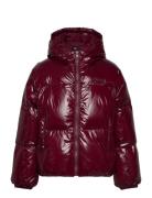 New York Glossy Puffer Jacket Toppatakki Burgundy Tommy Hilfiger