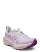 Novablast 4 Sport Sport Shoes Running Shoes Purple Asics