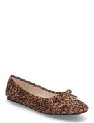 Nlfrosa Ballerina Shoe Ballerinat Brown LMTD