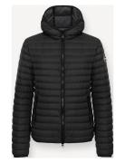 Mens Down Jacket Vuorillinen Takki Topattu Takki Black Colmar