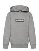 Chamois Hoodie Tops Sweat-shirts & Hoodies Hoodies Grey Napapijri