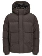 Jjebradley Puffer Hood Sn Vuorillinen Takki Topattu Takki Brown Jack &...