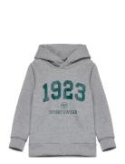 Hmlnipps Hoodie Tops Sweat-shirts & Hoodies Hoodies Grey Hummel