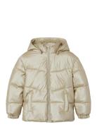 Nkfmaggy Puffer Jacket Shiny Toppatakki Gold Name It