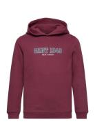 Gant 1949 Hoodie Tops Sweat-shirts & Hoodies Hoodies Burgundy GANT