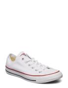 Chuck Taylor All Star Matalavartiset Sneakerit Tennarit White Converse