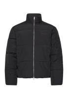 Puffer Jacket-Black Vuorillinen Takki Topattu Takki Black Edwin