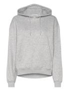 Standard Hoodie Tops Sweat-shirts & Hoodies Sweat-shirts Grey Weekday