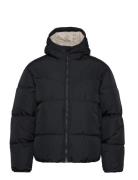 Hco. Guys Outerwear Vuorillinen Takki Topattu Takki Black Hollister