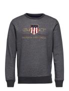 Archive Shield C-Neck Tops Sweat-shirts & Hoodies Sweat-shirts Grey GA...