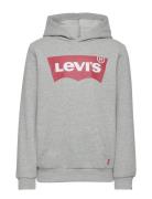 Po-Pull-Over Hoody Tops Sweat-shirts & Hoodies Hoodies Grey Levi's