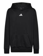 J Sl Fl Hd 225 Tops Sweat-shirts & Hoodies Hoodies Black Adidas Sports...