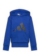 J Bl Ft Hd 280 Tops Sweat-shirts & Hoodies Hoodies Blue Adidas Sportsw...