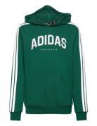 J C Colleg Hd Tops Sweat-shirts & Hoodies Hoodies Green Adidas Sportsw...