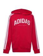 J C Colleg Hd Tops Sweat-shirts & Hoodies Hoodies Red Adidas Sportswea...