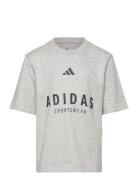 J Allszn Gfx T Sport T-shirts Short-sleeved Grey Adidas Sportswear