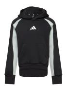 J Cb Fl Hd Sport Sweat-shirts & Hoodies Hoodies Black Adidas Sportswea...