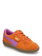 Palermo Ps Sport Sneakers Low-top Sneakers Orange PUMA